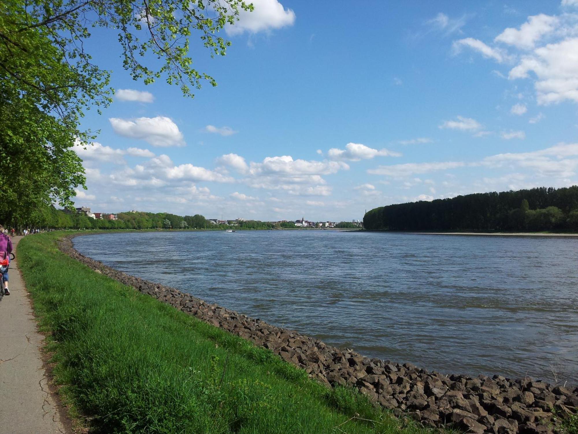 Bed & Breakfast Stayincologne Keulen